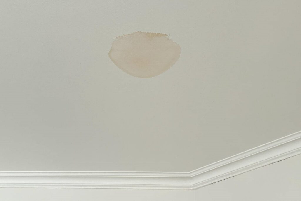 Water stain on a white ceiling near crown molding.