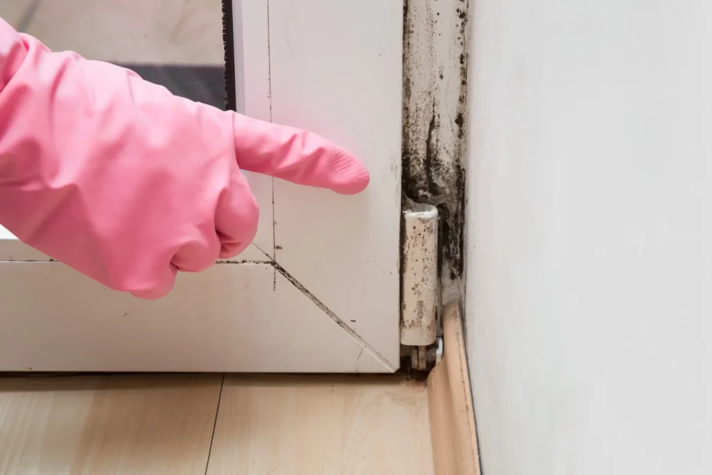 Hand in pink glove pointing at mold and dirt on a white door hinge near the floor.