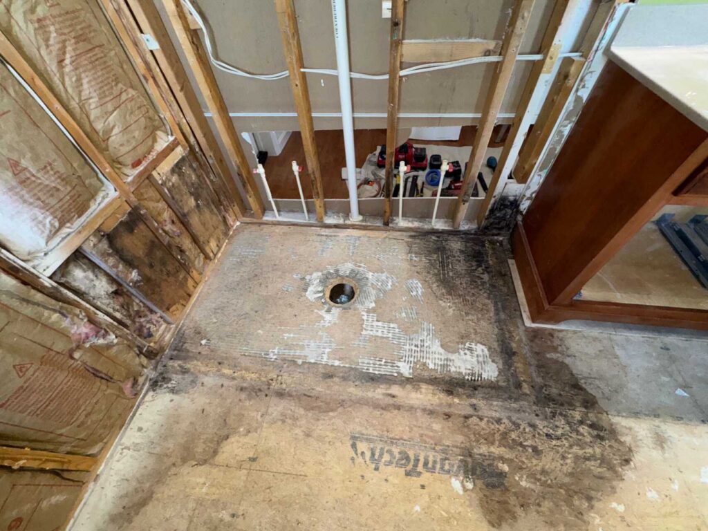 Residential Mold Remediation in Felton, DE After Bathroom Remodel Discovery