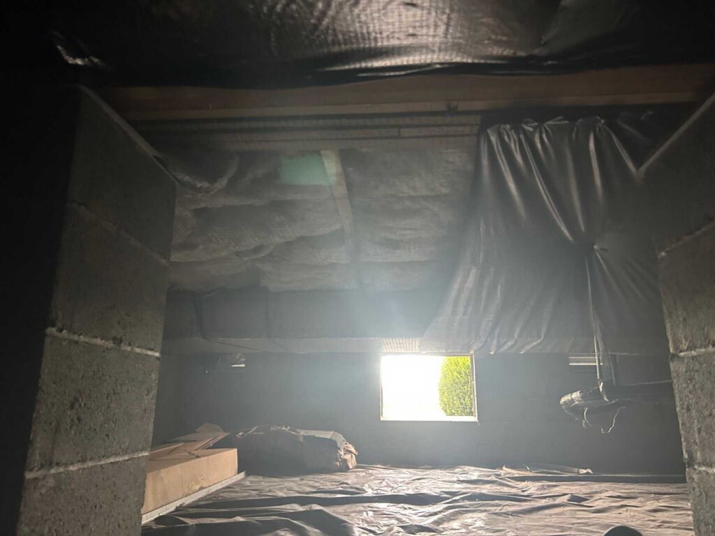 Crawl Space Water Damage Restoration in Millsboro DE