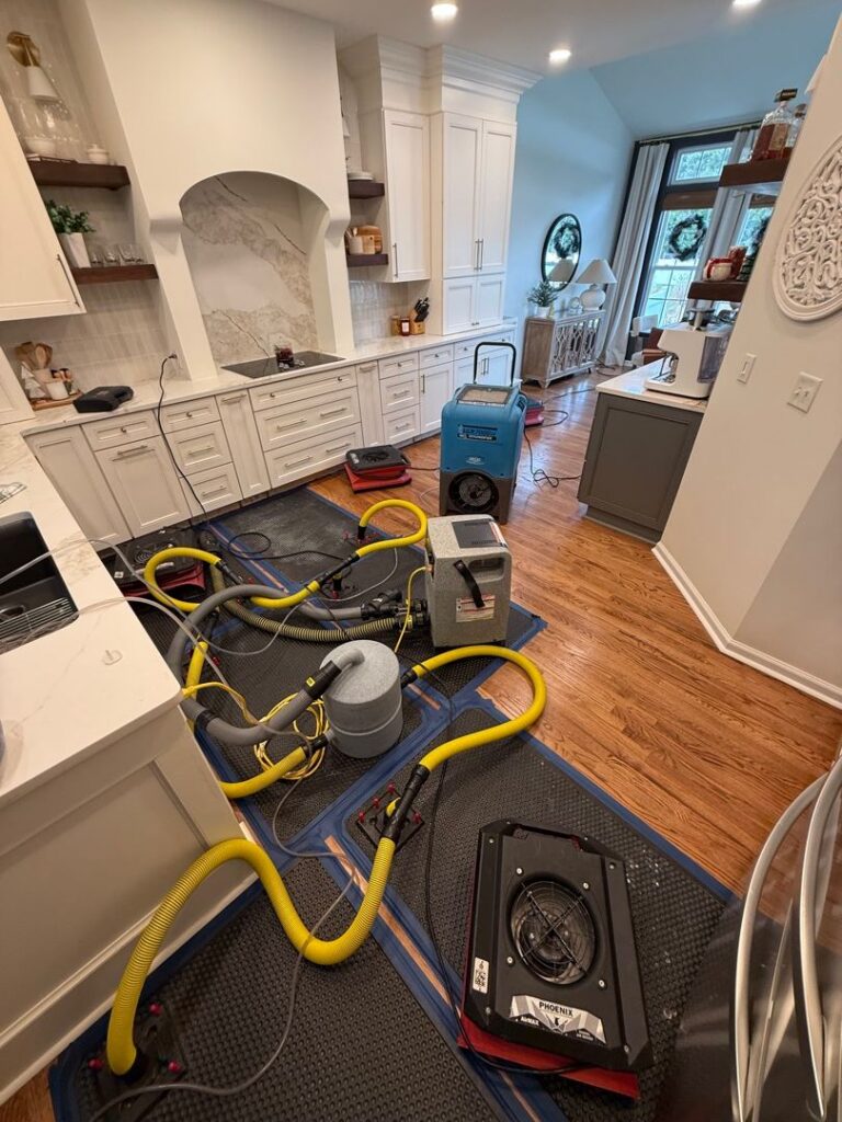 Dishwasher Water Line Leak and Water Damage Restoration in Lewes, DE