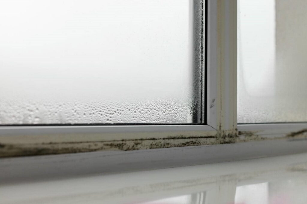 Condensation and mold buildup on a window frame and sill.