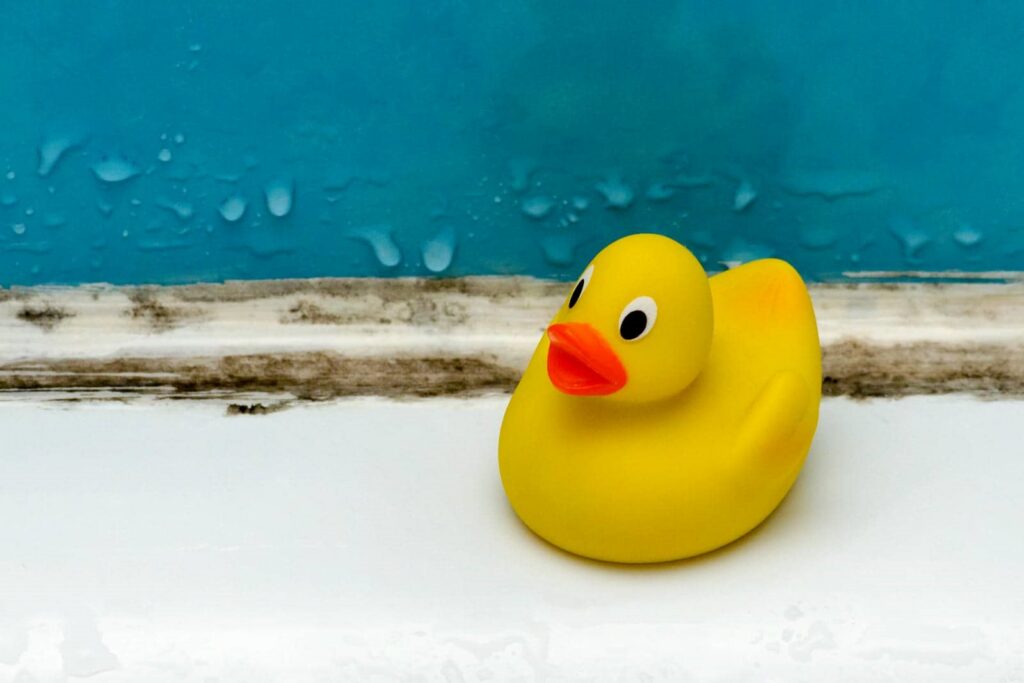 Yellow rubber duck on a white surface with mold on walls and water droplets.