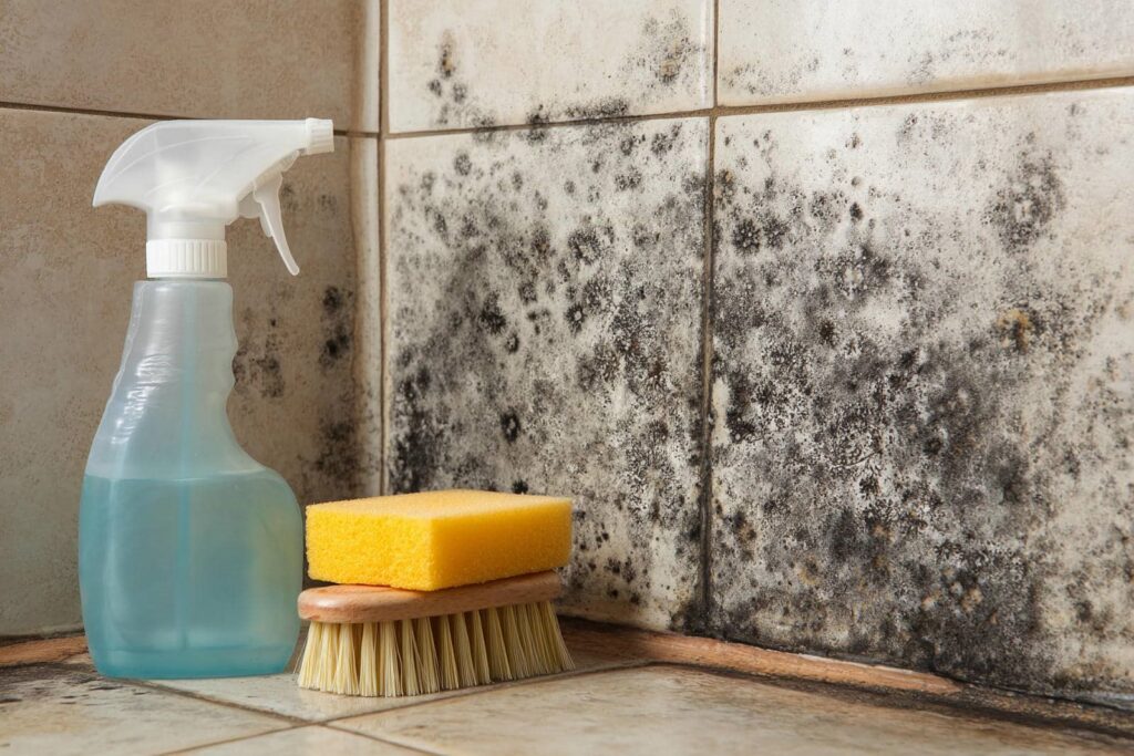 Black mold growing on bathroom tiles with a spray bottle, scrub brush, and sponge nearby.